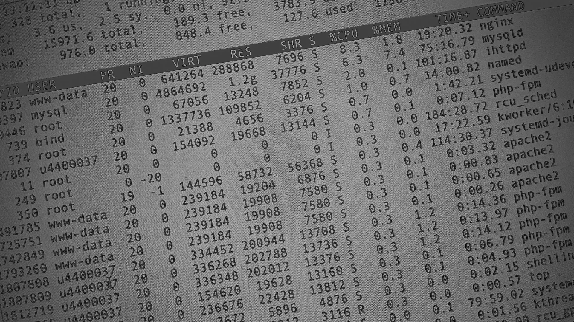 Настройка сервера в Нальчике