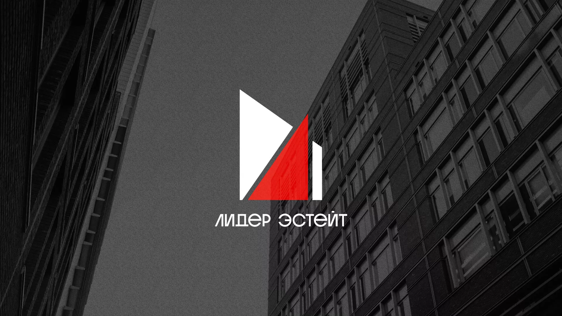 Сделали логотип для агентства недвижимости «Лидер Эстейт» в Нальчике